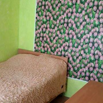 Однокомнатная квартира. Хозяйка