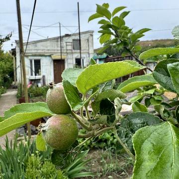 Срочная продажа! Капитальный дом в Пересыпском районе