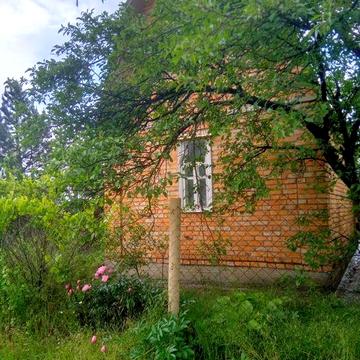 Сдам в аренду  дача у Днепра (с. Приднепровское, 19 км от Запорожья)