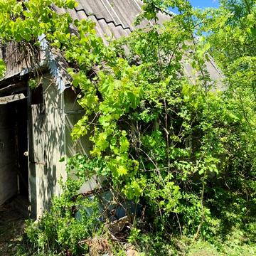 Продається дача с/тЖитловик на території Павлівської сільської радиТисменецький р-н