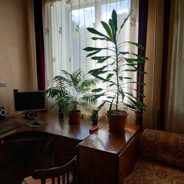 Продам 3-кімнатну квартиру Узин