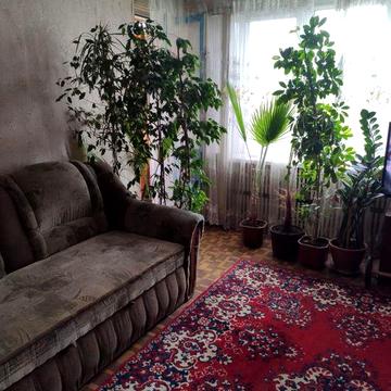 Продам затишну 2-кімнатну квартиру