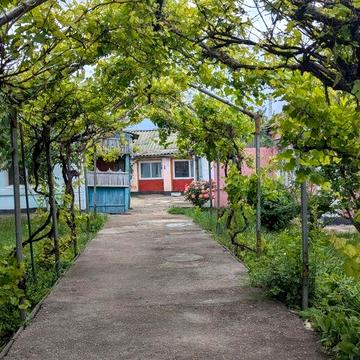 Продам два дома на участке 15 соток Дачное, Одесская область