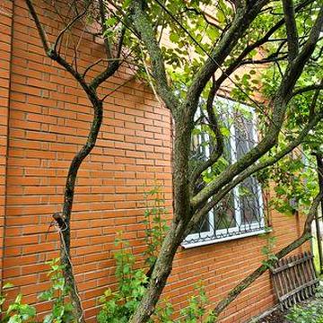 Будинок.  Дача. Метро Славутіч  .оренда