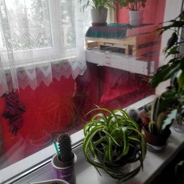 Продам квартиру в Тернівці Дніпропетровська область .