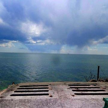 Сдам дачу возле моря на лето недорого