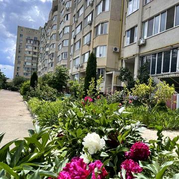 Двухкомнатная квартира в новом доме на Черемушках