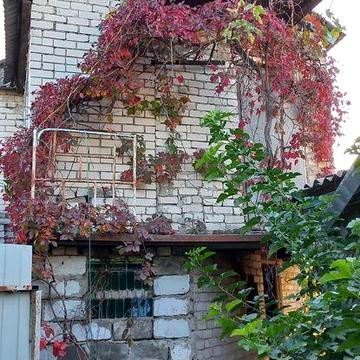 Продається будинок та ділянка у центрі Черкас, ділянка приватизована (В.Горова)