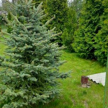 Продам дачу 10 соток