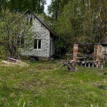 Дача в Деснянці