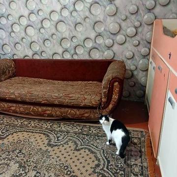 1 кімнатна квартира на садах-2