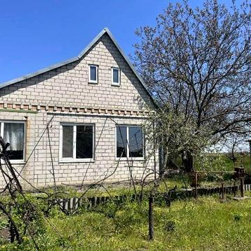 Продам два будинки в Петриківкі