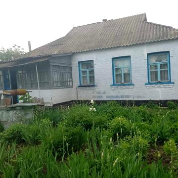 Продаж будинку в селі Синява. Білоцерківский  район. КиІвська область.