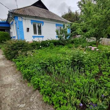 Продаж будинок Ставище