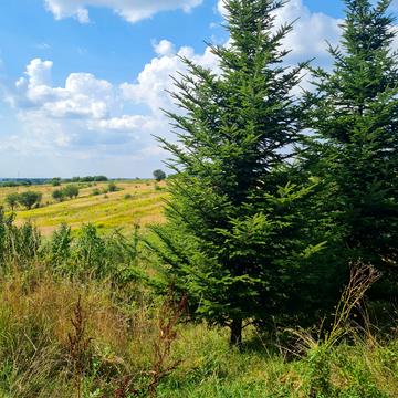 Бірки, Яворівський, Львівська область 14400000.0 USD