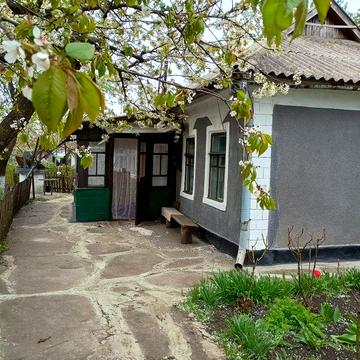 Будинок та присадибна  ділянка