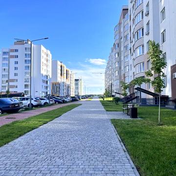 Нова оренда 1 кімн квартира