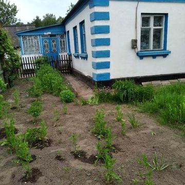 Продам будинок у мальовничому селі Кропивенка Житомирський район