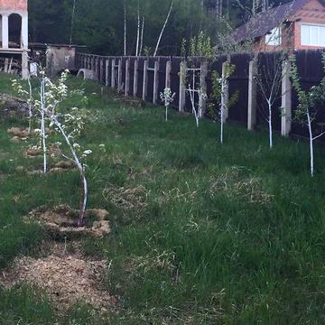 Продаж 10к Дім Буковинська вулиця