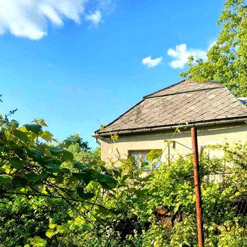 Продам дачу с. Нижнє Солотвино, Закарпаття.  Відеоогляд. Власник