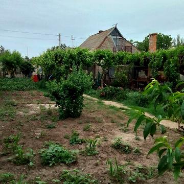 Продам дом на текстыльному