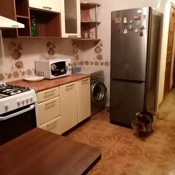 Сдам домик 2 к 60 м евроремонт Рихтера/Дом мебели, кондиционер, генератор!