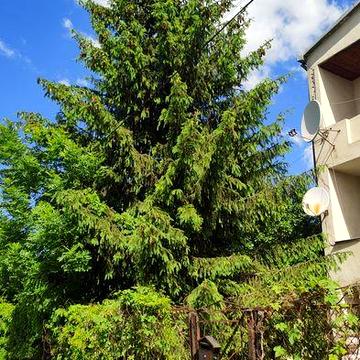 Продаж. 3 кімнатна квартира Винники вул Соборності