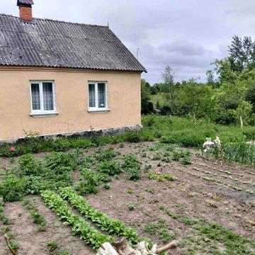 Продам  будинок в селі Шевченко