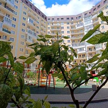 Продам 2 кімнатну 58 кв.м Будинок зданий ЖК "Континент" ближче Таїрова Програми (3-060-993) ЖК «Континент»