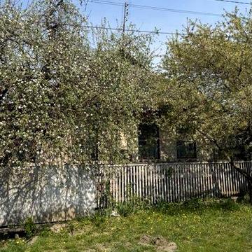 Продам будинок в Ріпках