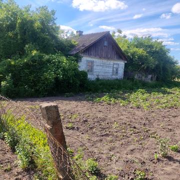 Продам дві старі, але моцні хатини