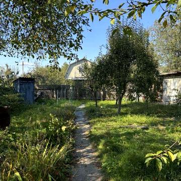 Продається дачний будинок з ремонтом та земельною ділянкою.