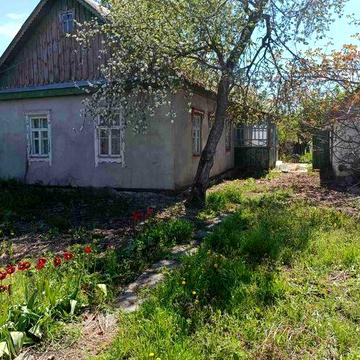Продам будинок с. Високе, Брусіловського р-н. Житомирська обл.
