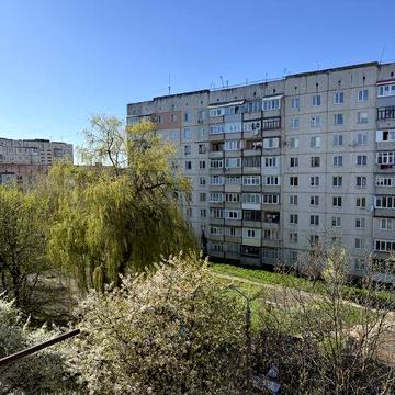 Чешка на верхній южці