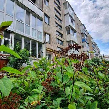 Продам 1-кімнатну квартиру на вул. Бурбело 4374