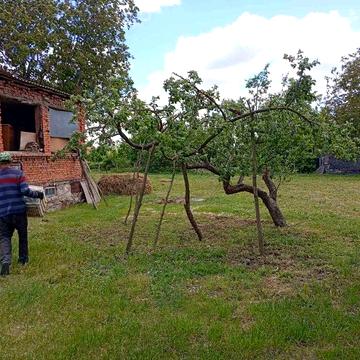 Продаж.Будинок та земельна ділянка.Браїлів.