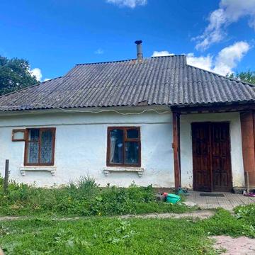 Продам будинок в 5 хвилинах від Літину