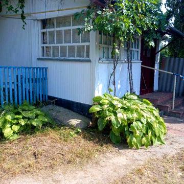 Продам будинок, Обухівський район, село Дибинці