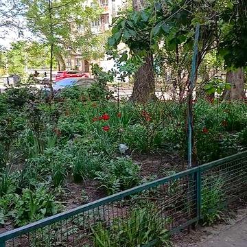 (3-50)Однокомнатная квартира в спальном районе
