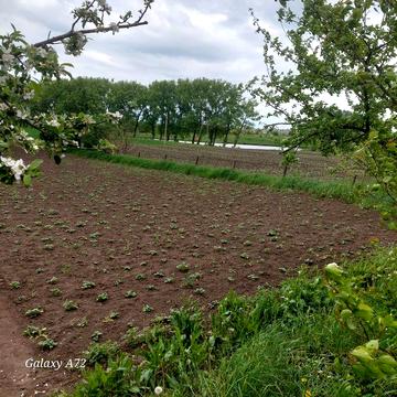 Продам будинок в с.Вахнівка