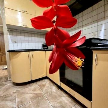 Всегда свет! . 2 х к кв. Центр Днепра. Риелторы не звоните.