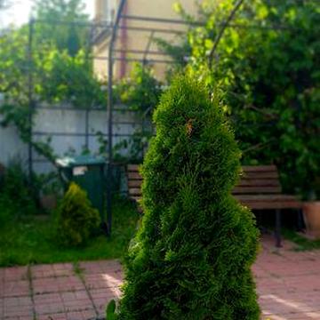 Оренда   3  кімнатного  будинку.