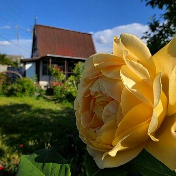 Продам дачу рядом с рекой, Самаровка, Слобожанское