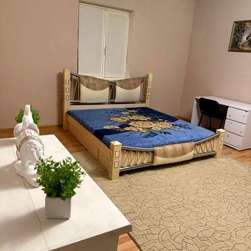 Здається будинок у Софіївській Борщагівці