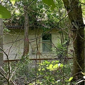 Продам житловий будинок с Нова Корніївка Броварського району