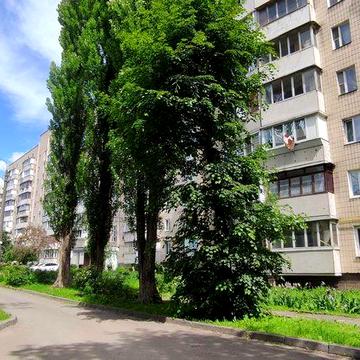 Борщагівка Південна, Махова ( Жолудєва ) 8 А.