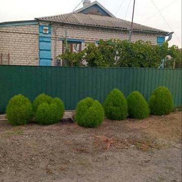 Дом мечты.Терновской р- н. .я.