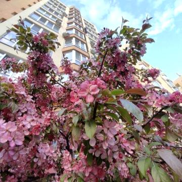 ‼️Єркерная43м2 С перепланировкой в Євродвушку 47,500$