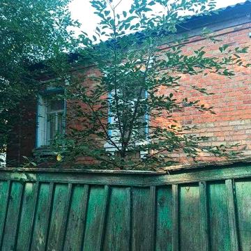 У продажу добротна половина будинку в Дергачах 67м2.