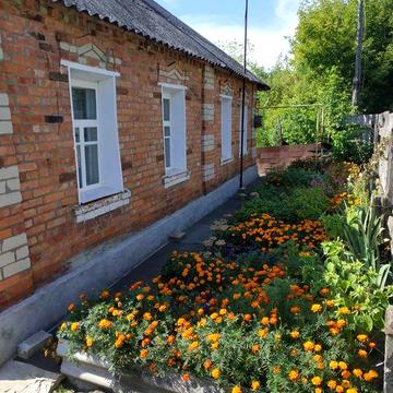 Продам будинок с. Вільшани